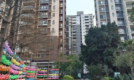 丽水物业经理证报考官网查询-丽水物业经理证官网查询